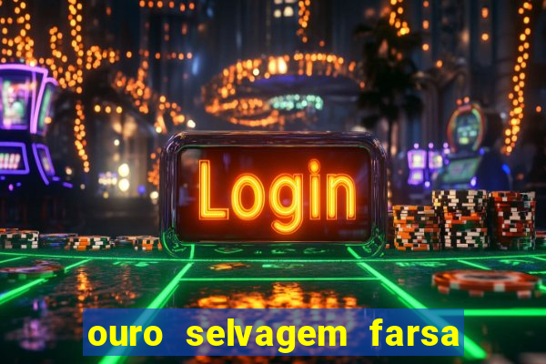 ouro selvagem farsa ouro selvagem o que aconteceu